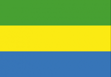 Gabonese National Flag