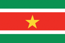 Suriname National Flag