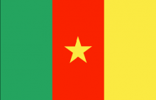 Cameroon national flag