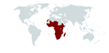 ITU Africa region