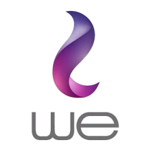 WE Telecom Egypt logo