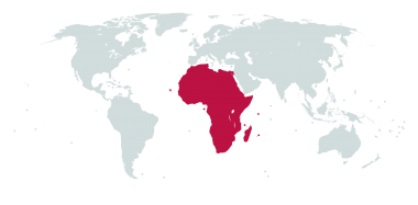 UN M49 Africa Outline
