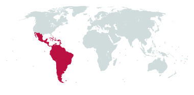 UN M49 Latin America and Caribbean Map Outline