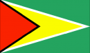 Guyana National Flag