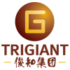 Trigiant Group logo
