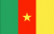 Cameroon national flag